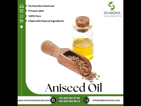 Aniseed Essential Oil