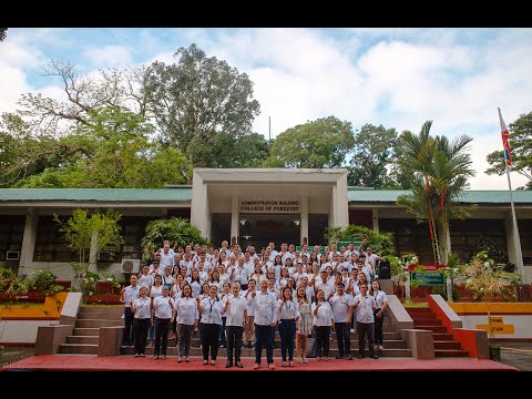 CFNR BS Forestry Program