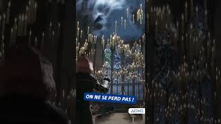 Tout quitter pour devenir guide touristique à Poudlard #HogwartsLegacy