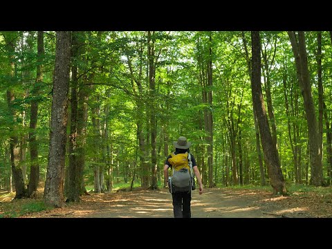 I solo hiked across Transylvania for a month