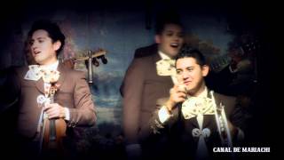 EL REY | MARIACHI SOL DE MEXICO de Jose Hernandez