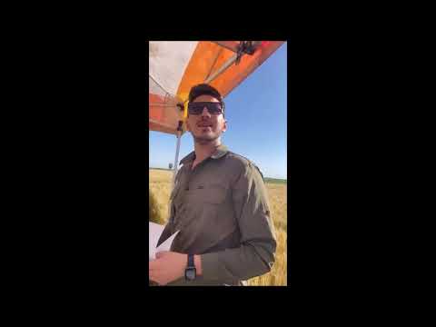 OLP en Agroconsultor - Diego de Alvear 18/11/2025