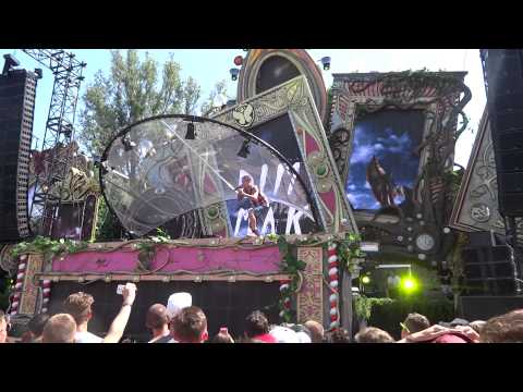 Tomorrowland 2014 - Dim Mak Stage
