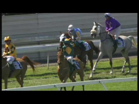 Wathba Stud Farm Cup Race 2 - Gold Coast Turf Club - 3rd Sep 2016
