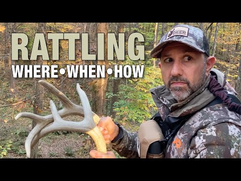 Where, When and How to Rattle in More Bucks Using Science