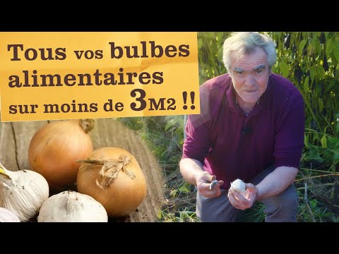 , title : 'C'est le moment de planter vos bulbes alimentaires (oignon, échalote, ail) Le tout sur 3m²'