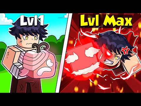 I Upgraded the Fruit Pain Rework to MAX! (Blox Fruits)