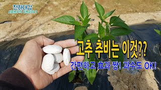 고추 추비는 이거하나면 된다?? 사과 블루베리 등 과수도 웃거름 OK~~  KG케미칼 미생물고형비료