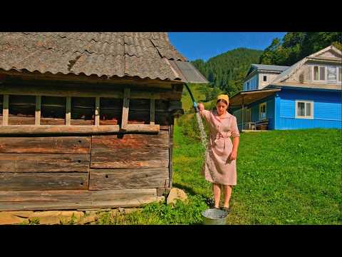 A Day in the Life of a Woman Living Alone in the Mountains