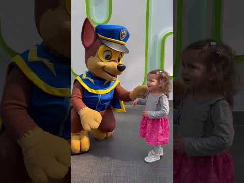 Paw patrol 🐾 #patrulhacanina #nickelodeon #chase #marshall