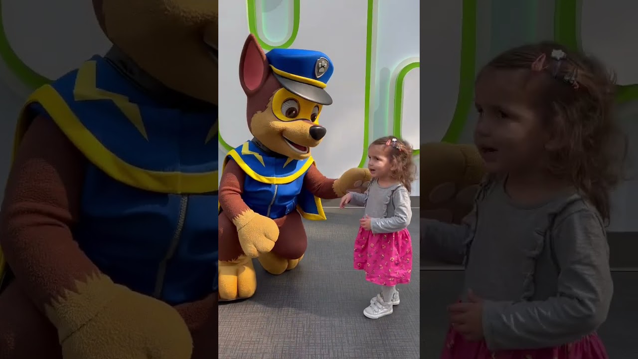 Watch Now Paw patrol 🐾 #patrulhacanina #nickelodeon #chase #marshall Paw patrol 🐾 #patrulhacanina #nickelodeon #chase #marshall