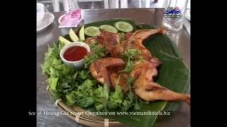preview picture of video 'Hoang Gia Resort Quy Nhon - Vietnam hotels booking services'