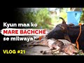We Milked A Cow Saved A Dog From Leeches And Much Awaited Hospital Update Vlog 21