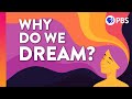 The Strange Science Of Why We Dream