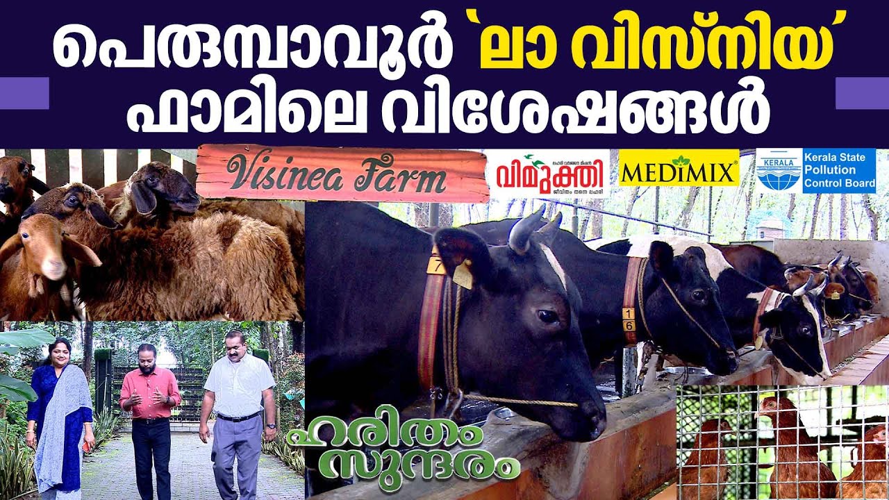 Haritham Sundaram Episode 387 — La Visnea Farm