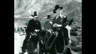 Drawn from Bees - Song for Mary Lou