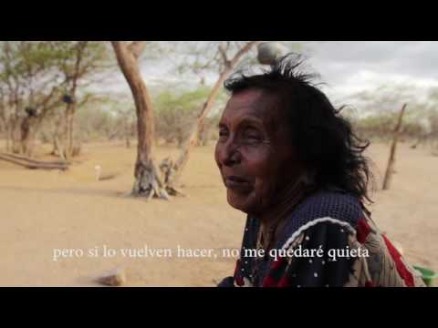 download lagu mp3 mp4 Jorgina, download lagu Jorgina gratis, unduh video klip Download Jorgina Mp3 dan Mp4 Unlimited Gratis