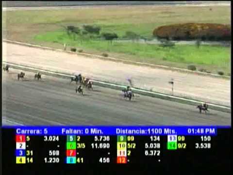 Resumen Viernes, 18 de Enero de 2013 - La Rinconada