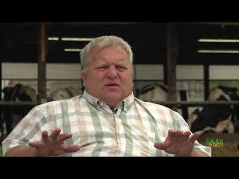 Energy efficient LEDs and Long Day Lighting for Dairy