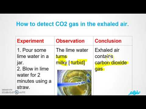 Carbon Dioxide - science- Grade 6 -Term 1 - part 1 - علوم - لغات - للصف السادس الابتدائي - نفهم