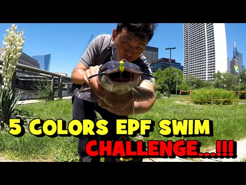 "5 COLORS" EPF Swim CHALLENGE in URBAN PHILLY!!! (RESTOCK ALERT)