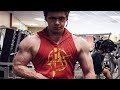 Rad 140 ONLY 6 week cycle Results & Side effects Discussed | Sarms
