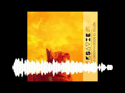 Nuevo single rock español | El gato observa desde el sillon