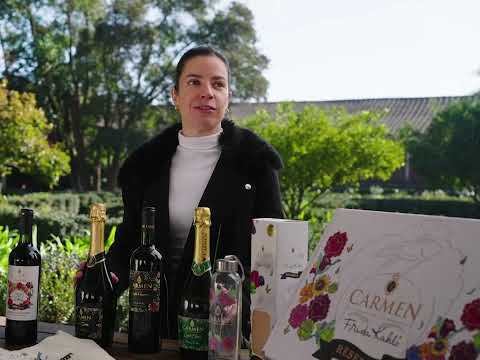 Imagen del video