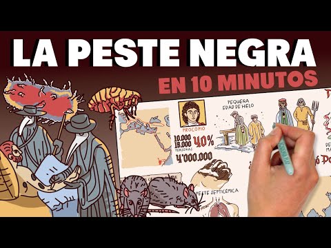 The Black Death in 10 minutes