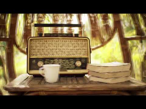 Vintage Cafe Lunch Series   Official Playlist