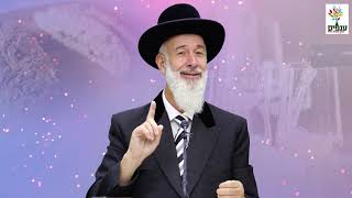 פרשת לך לך😊 - הרב יונה מצגר HD - לא לפספס!