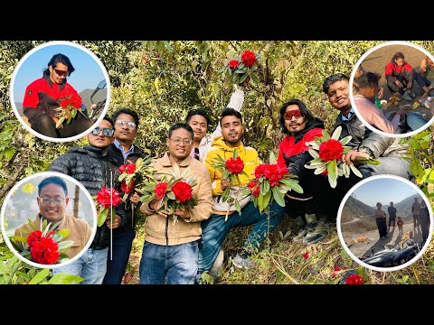 Laligurash tipna lagim hai gys hami