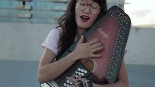 Camera Obscura- Honey in the Sun (autoharp cover)
