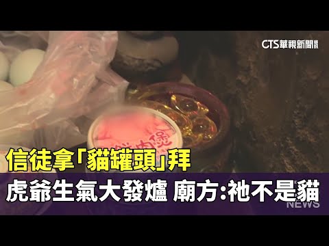 信徒拿「貓罐頭」拜　虎爺生氣大發爐　廟方：祂不是貓
