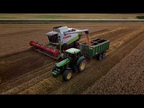 Harvest 2021 || Claas Lexion 460 || Summer 2021