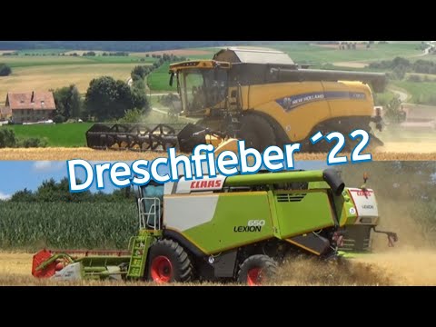 Dreschfieber ´22: Claas Lexion 650 und New Holland CX 8.70 - LU Ruhland - Getreideernte 2022