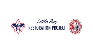 Little Bay Restoration Project