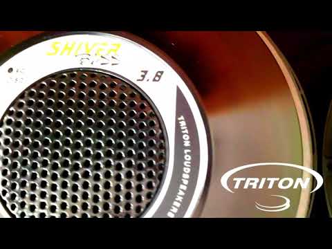 TRITON ALTO FALANTES  SHIVER BASS 15 POLEGADAS 1900W.