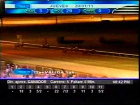 Resumen jueves 20 de Enero 2011 - Valencia