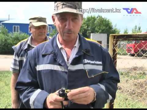 Выпуск программы “Люди труда” от 19.07.2016г.