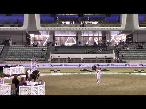 Team Svea, CVI Chi Al Shaqab Doha 2015, Freestyle