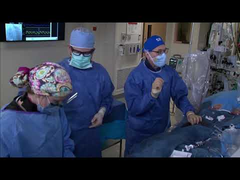 CTO Intervention of the LAD with David Rizik, MD and Robert Riley, MD