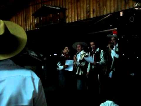 de paulista pra gaúcho.AVI