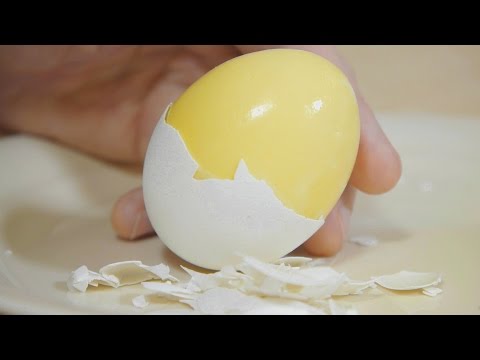 download lagu mp3 mp4 Scrambled Boiled Egg Maker, download lagu Scrambled Boiled Egg Maker gratis, unduh video klip Scrambled Boiled Egg Maker