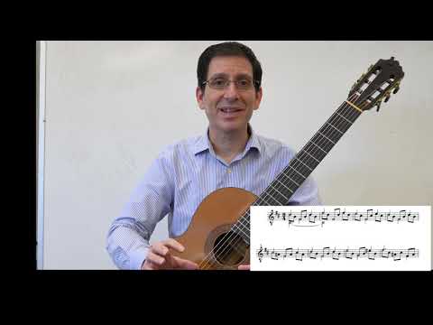 Guided Lesson: Op. 35, #22 in b minor (#5 Segovia Ed.)-Fernando Sor.  Philip Hemmo, classical guitar