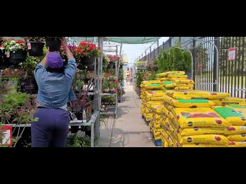 flowers hy flowers, happy moments