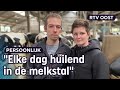 Boer Arjan is ontroostbaar: 2/3 van zijn veestapel moet weg | RTV Oost