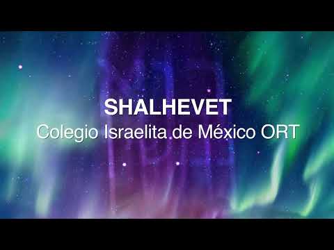 48 FESTIVAL AVIV - SHALHEVET