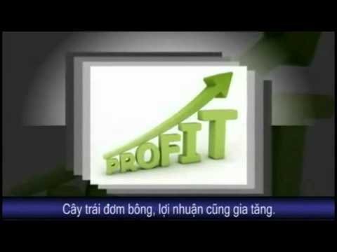 Video 3