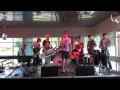 Snowmine - The Hill band cover live 